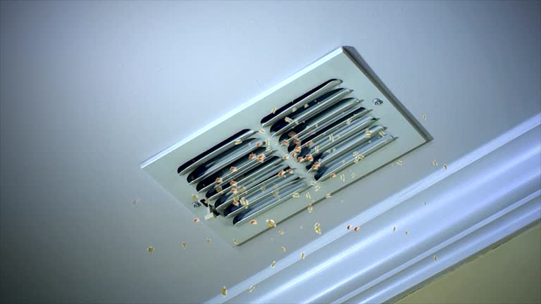Best Affordable Air Duct Cleaning  in Rural Retreat, VA